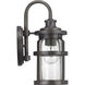 Haslett 1 Light 14 inch Antique Pewter Outdoor Wall Lantern, Small