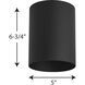 Cylinder 1 Light 5 inch Black Outdoor Ceiling Mount Cylinder in Standard Lamping