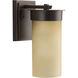 Hawthorne Outdoor Wall Lantern, Etched Umber Seeded Glass