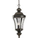 Nottington 3 Light 10 inch Forged Bronze Outdoor Hanging Lantern