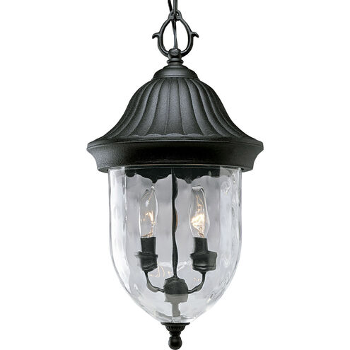 Coventry 2 Light 10 inch Textured Black Outdoor Hanging Lantern