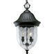 Coventry 2 Light 10 inch Textured Black Outdoor Hanging Lantern