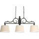 Meeting Street 3 Light 37 inch Forged Black Linear Chandelier Ceiling Light