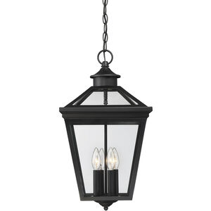 Ellijay 4 Light 12.00 inch Outdoor Pendant/Chandelier