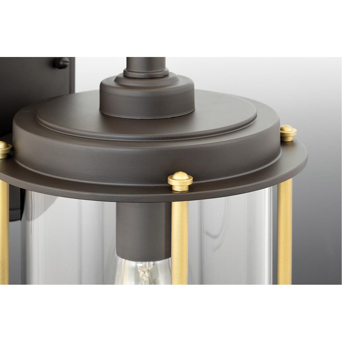 Laine 1 Light 9.75 inch Architectural Bronze Outdoor Hanging Lantern