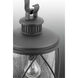 Hollingsworth 1 Light 10 inch Textured Black Outdoor Hanging Lantern