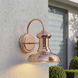 Brookside 1 Light 10 inch Cognac Outdoor Wall Lantern in Copper, Small
