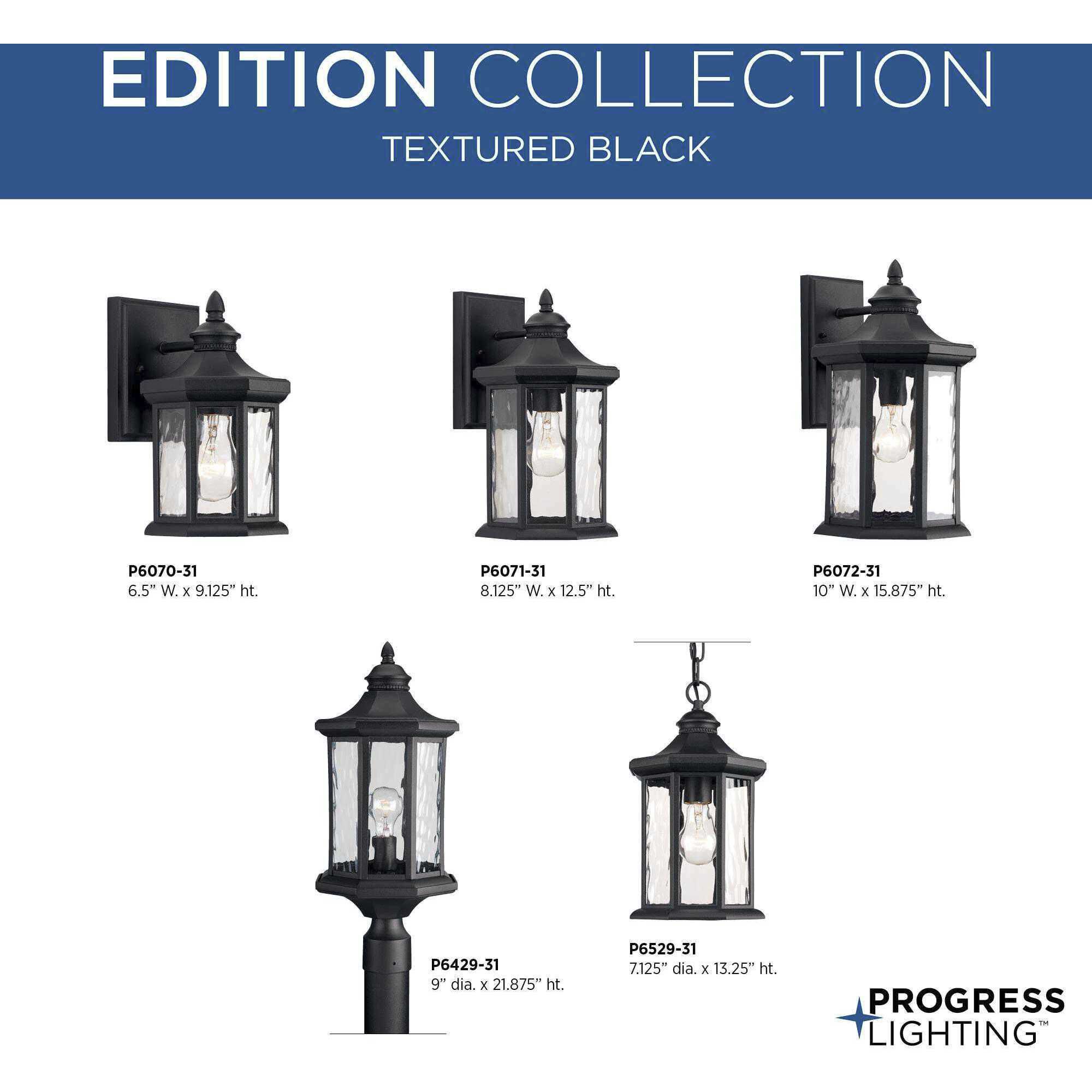 Edition 1 Light 13 inch Textured Black Outdoor Wall Lantern, Medium