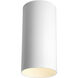 Cylinder 1 Light 6 inch White Outdoor Ceiling Mount Cylinder in Standard Lamping