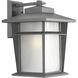 Loyal 1 Light 16 inch Textured Graphite Outdoor Wall Lantern