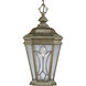 Cranbrook 1 Light 10 inch Burnished Chestnut Outdoor Hanging Lantern
