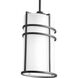 Format 1 Light 9 inch Black Outdoor Hanging Lantern