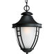 Fairview 1 Light 11 inch Textured Black Outdoor Hanging Lantern