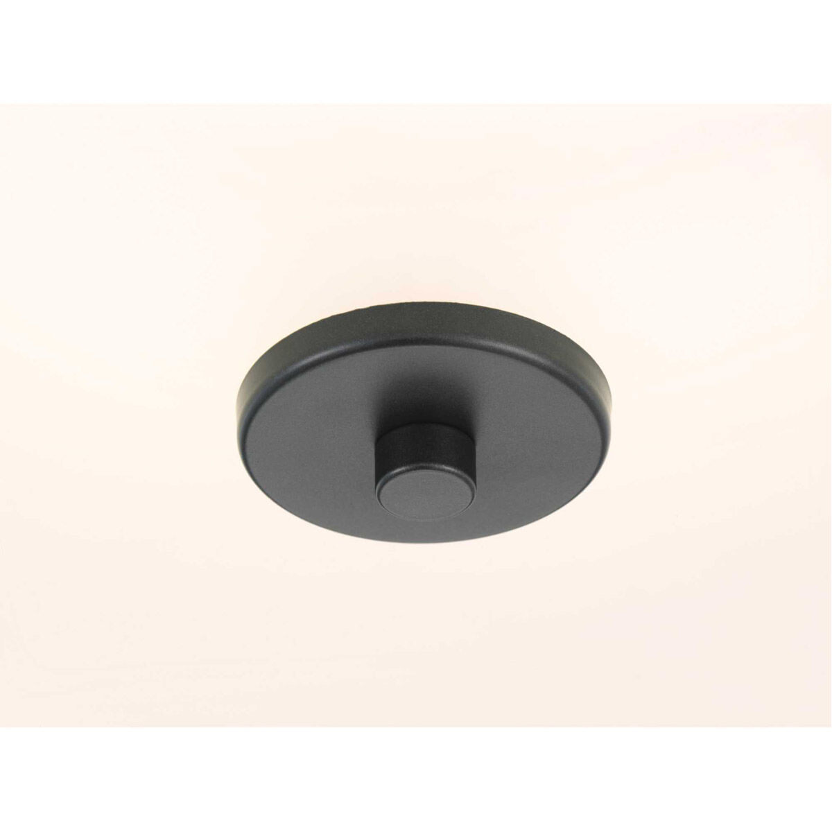 Inspire 2 Light 13 inch Graphite Semi-Flush Mount Ceiling Light