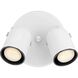 Directional 2 Light 9 inch White Multi Directional Wall/Ceiling Light