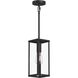 Ryle 1 Light 5.50 inch Outdoor Pendant/Chandelier