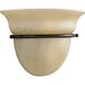 Torino 1 Light 10 inch Forged Bronze Wall Sconce Wall Light in Tea-Stained