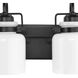 Fessler 4 Light 29.12 inch Matte Black Bath Light Wall Light