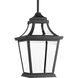 Endorse LED 8.75 inch Black Outdoor Hanging Lantern