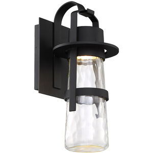 Balthus LED 16 inch Black Outdoor Wall Light in 16in.