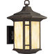 Arts and Crafts 1 Light 15 inch Weathered Bronze Outdoor Wall Lantern