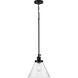 Hinton 1 Light 12 inch Matte Black Pendant Ceiling Light