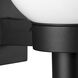 Acrylic Globe Outdoor Wall Lantern