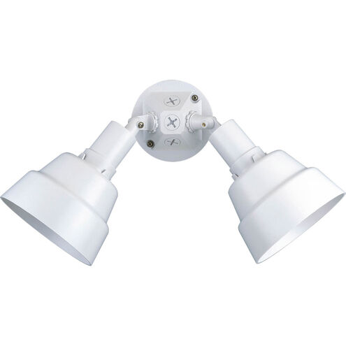 Par Lampholder 2 Light 5 inch White Outdoor Adjustable Swivel Flood Light