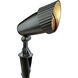 Landscape Low Volt 50 watt Black Landscape Spot Light
