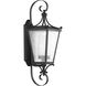 Cadence 1 Light 25 inch Black Outdoor Wall Lantern, Medium, Design Series