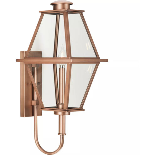 Bradshaw 1 Light 9.50 inch Outdoor Wall Light
