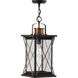 Barlowe 1 Light 9 inch Antique Bronze Outdoor Hanging Lantern