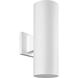 Cylinder 2 Light 14 inch White Outdoor Wall Mount Up/Down Cylinder