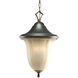 Le Jardin 1 Light 11 inch Espresso Outdoor Hanging Lantern