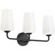 Celino 3 Light 23.25 inch Black Vanity Light Wall Light