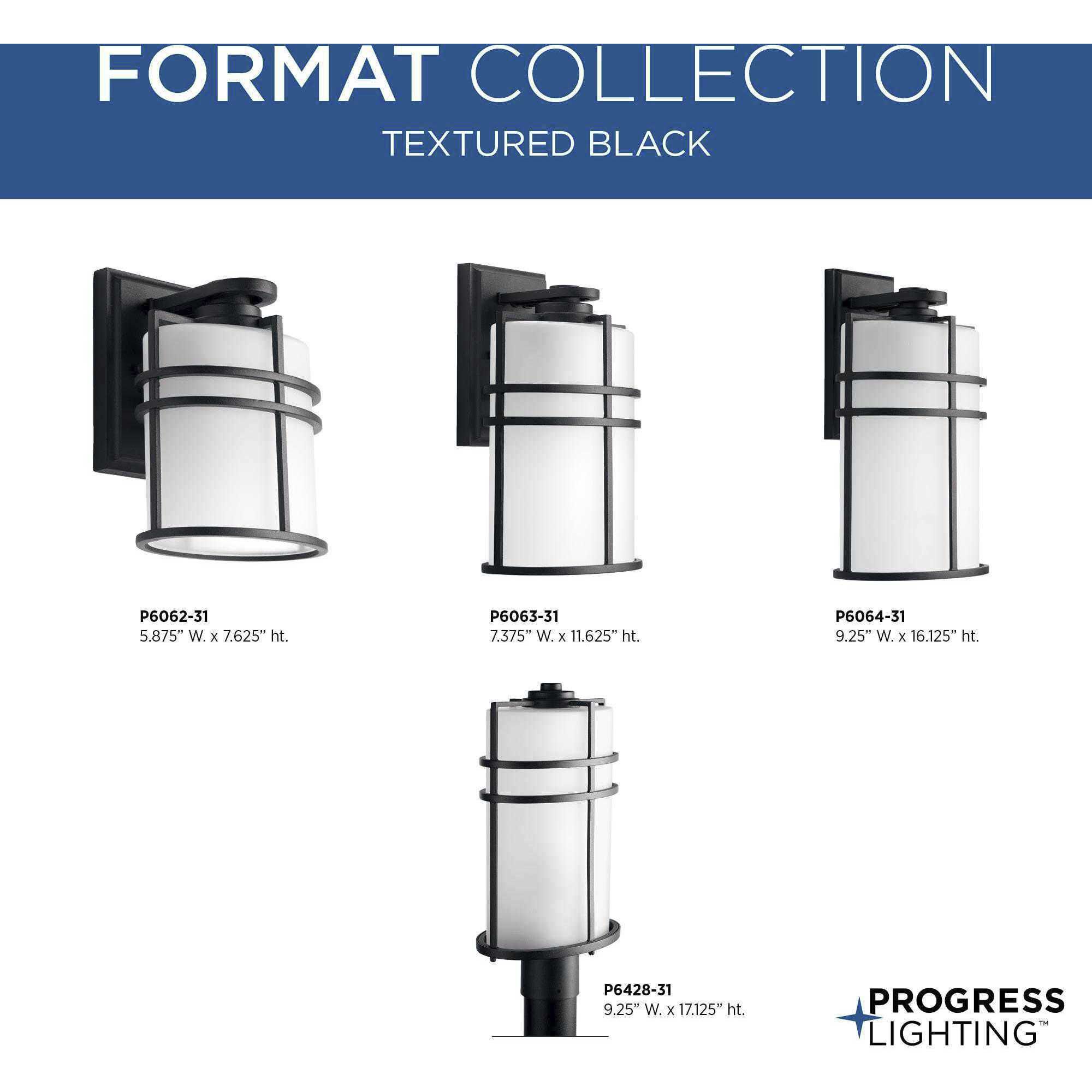 Format 1 Light 12 inch Textured Black Outdoor Wall Lantern, Medium