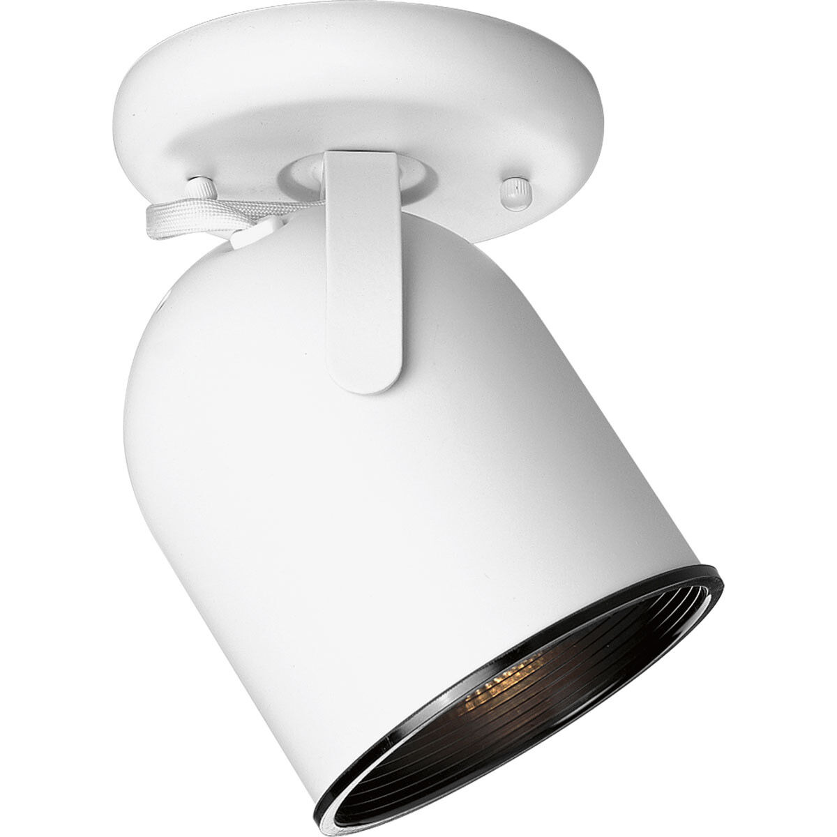 Multi directional new arrivals ceiling light