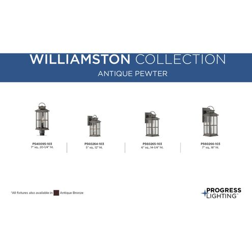 Williamston 1 Light 14 inch Antique Pewter Outdoor Wall Lantern, Medium