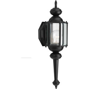 BrassGUARD 1 Light 19 inch Matte Black Outdoor Wall Lantern