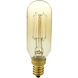 Lamps Incandescent T8 Edison E12 40 watt 120 Antique Bulb