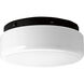 Hard-nox 2 Light 9 inch Black Outdoor Ceiling Mount in Bulbs Not Included, Standard