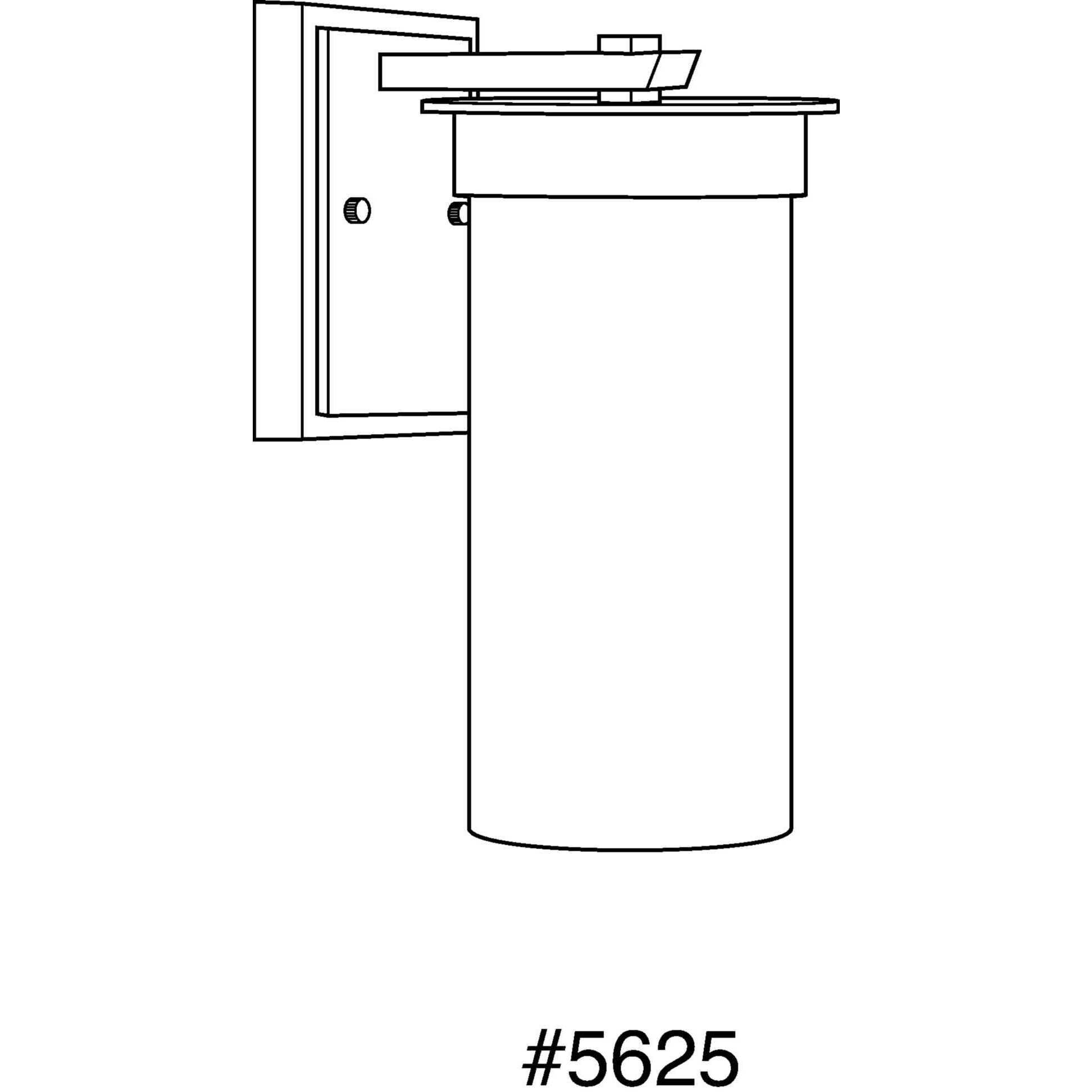 Hawthorne 1 Light 13 inch Textured Black Outdoor Wall Lantern, Medium