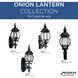 Onion 1 Light 21 inch Textured Black Outdoor Wall Lantern