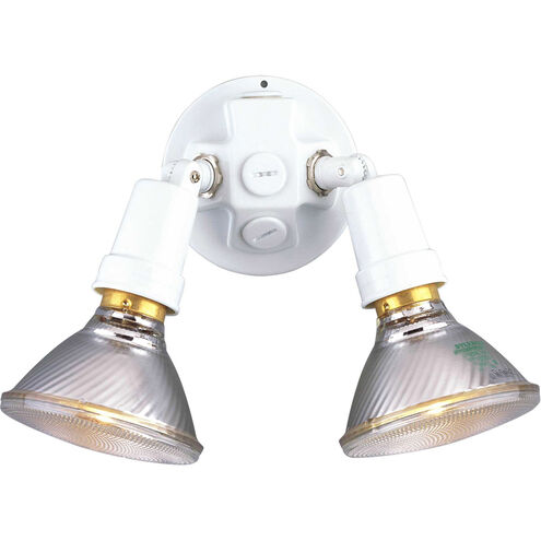 Par Lampholder 2 Light 6 inch White Outdoor Adjustable Swivel Flood Light