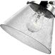 Hinton 18 inch 60.00 watt Brushed Nickel Swing Arm Wall Light
