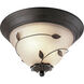 Eden 2 Light 13 inch Forged Bronze Close-to-Ceiling Ceiling Light