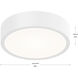 Rizo LED Matte White Ceiling Fan Light Kit
