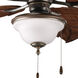 Ashmore 2 Light Antique Bronze Fan Light Kit