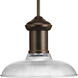 Brookside 1 Light 12 inch Antique Bronze Pendant Ceiling Light