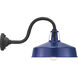 Cedar Springs 1 Light 11 inch Navy Outdoor Wall Lantern, Extra Large
